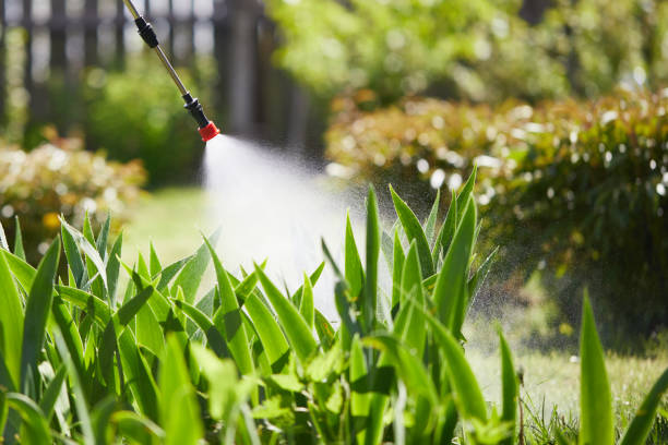 24/7 Emergency Fumigation Services experts in Le Grand, CA