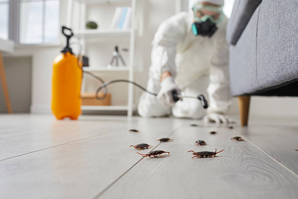 Trusted Cockroach Control service in Le Grand, CA - Nex Pest Control